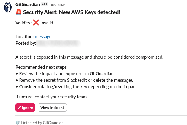 Secret detected message